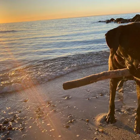 Ostseeferienpark Walkyrien - Lotse 07