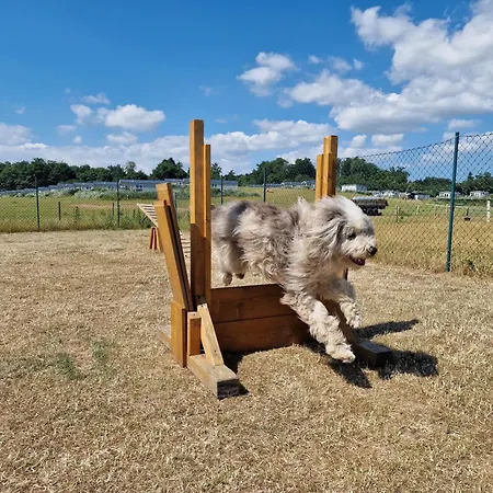 Dom wakacyjny Ostseeferienpark Walkyrien - Lotse 07